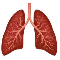 Clinical Medicine Study Notes